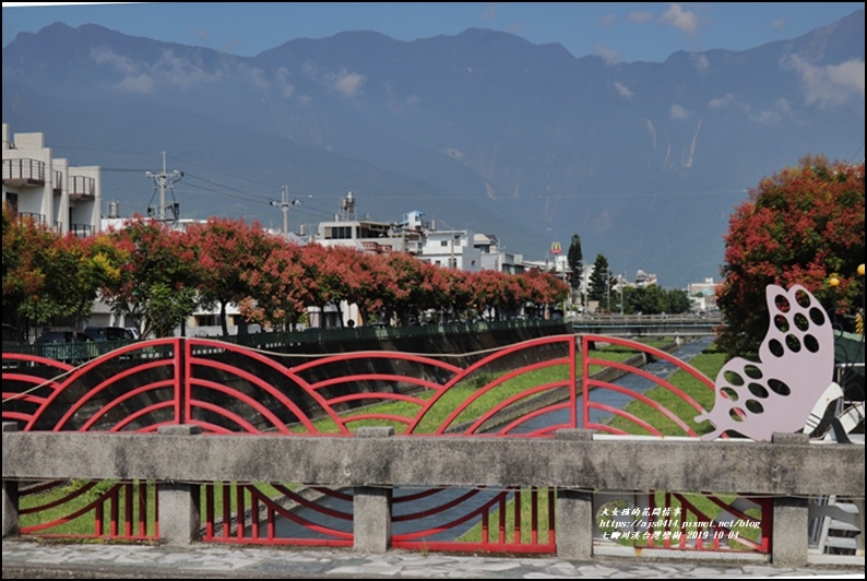 七腳川溪台灣欒樹-2019-10-20.jpg