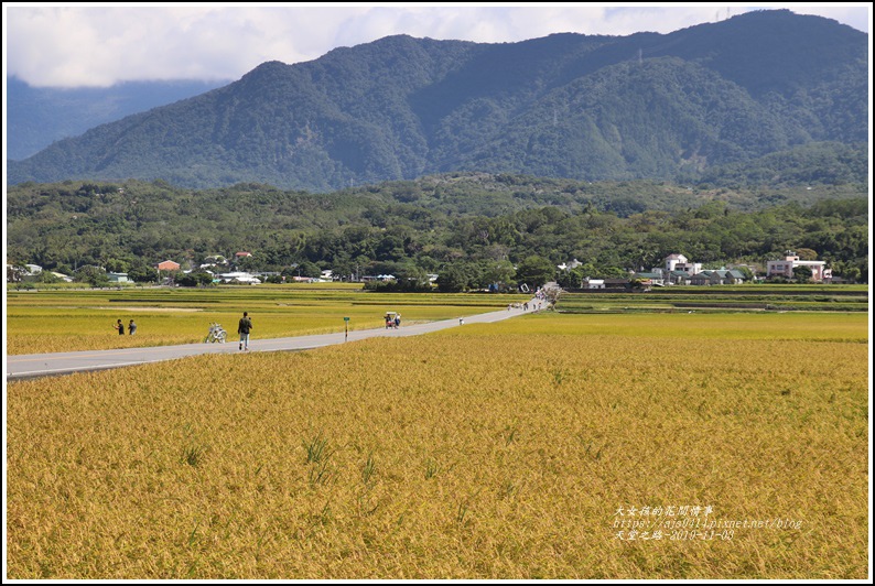 池上天堂之路-2019-11-02.jpg