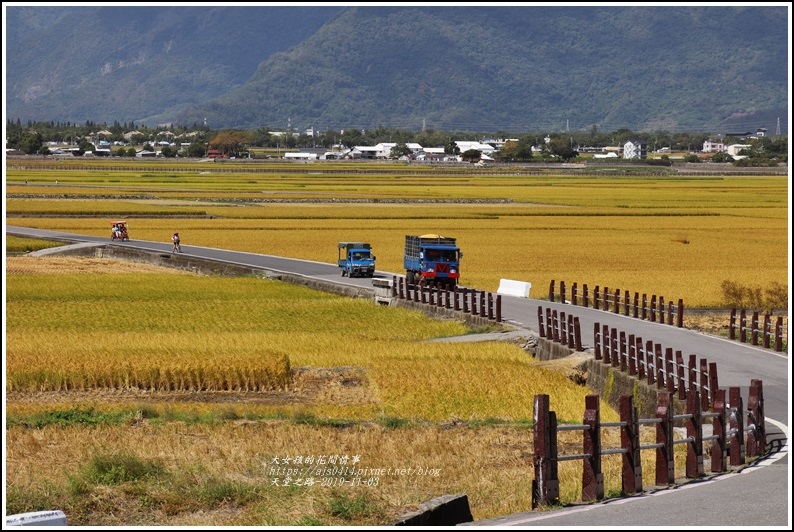 池上天堂之路-2019-11-09.jpg