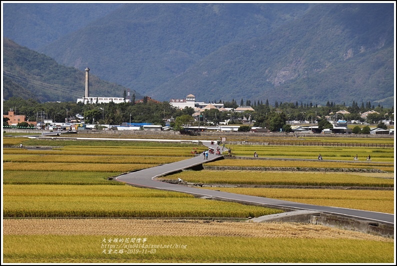 池上天堂之路-2019-11-04.jpg