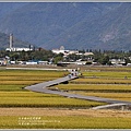 池上天堂之路-2019-11-04.jpg