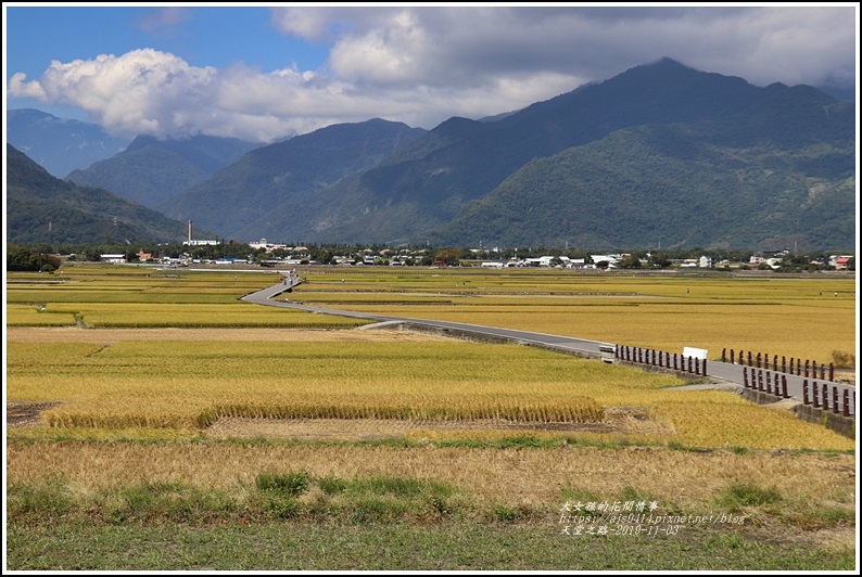 池上天堂之路-2019-11-03.jpg