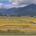 池上天堂之路-2019-11-03.jpg