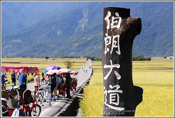 池上伯朗大道-2019-11-05.jpg