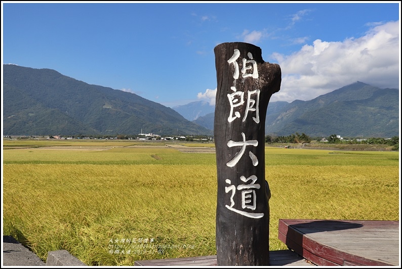 池上伯朗大道-2019-11-09.jpg