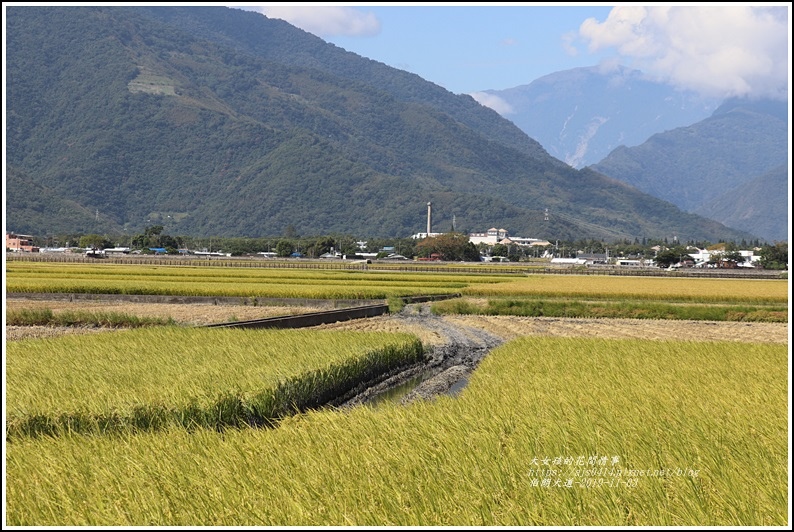 池上伯朗大道-2019-11-16.jpg