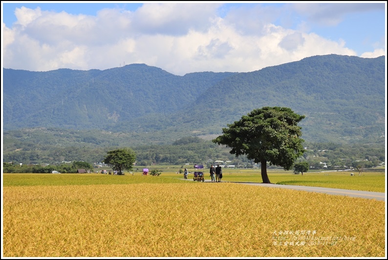 19年池上萬安輕旅 漫遊暢影伯朗大道 天堂路 金城武樹 秋收迷人風采 滿眼黃金稻 輕旅行