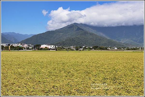 池上福德宮-2019-11-06.jpg