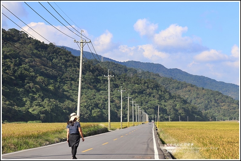 卓富公路(花75線)-2019-11-24.jpg