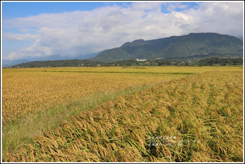 卓富公路(花75線)-2019-11-26.jpg