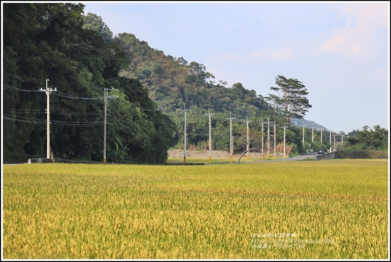 卓富公路(花75線)-2019-11-29.jpg