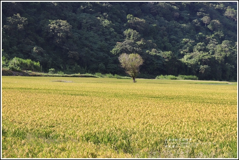 卓富公路(花75線)-2019-11-27.jpg