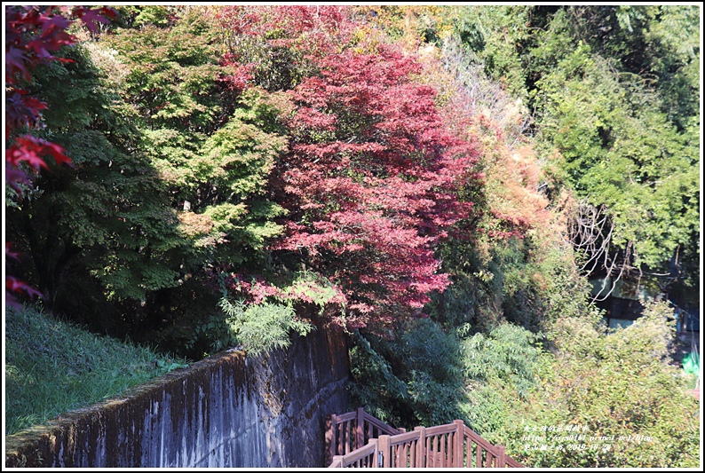 梨山楓之谷-2019-10-09.jpg