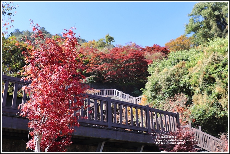 梨山,楓之谷,1956秘密花園,武陵農場,福壽山農場,楓紅,天池,梨山楓之谷,楓葉,百岳,小百岳,步道