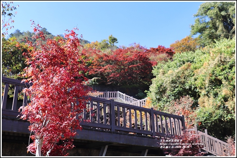 ,梨山,梨山楓之谷,1956秘密花園,楓葉,百岳,小百岳,步道,瀑布,