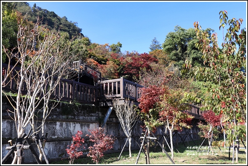 梨山楓之谷-2019-10-15.jpg