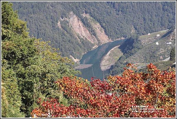 梨山楓之谷-2019-10-19.jpg