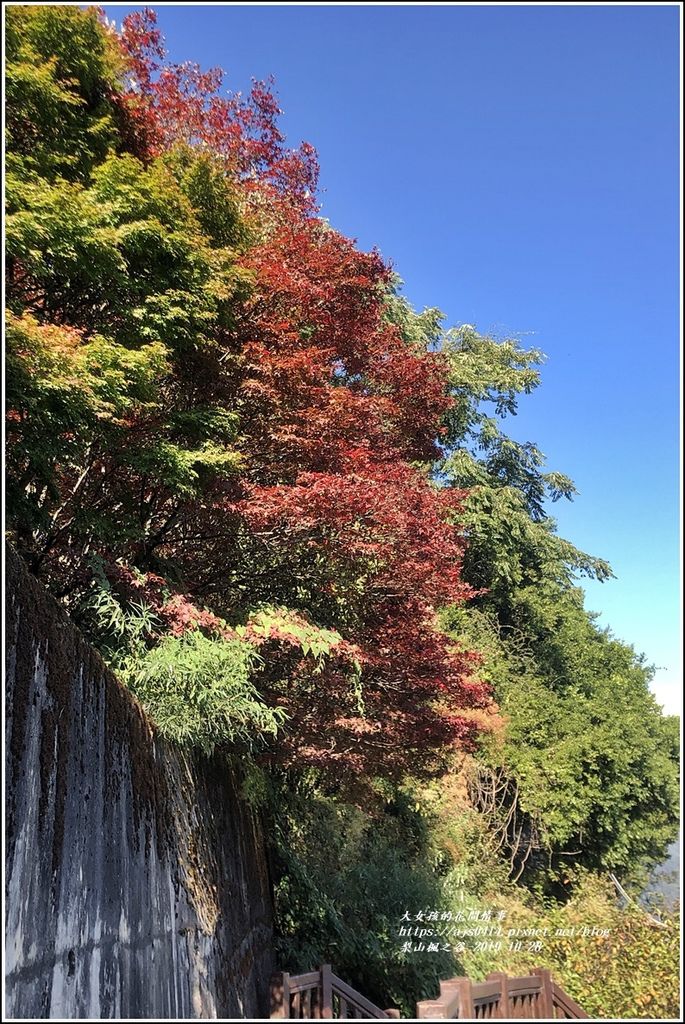 梨山楓之谷-2019-10-26.jpg 梨山楓之谷-2019-10-26.jpg