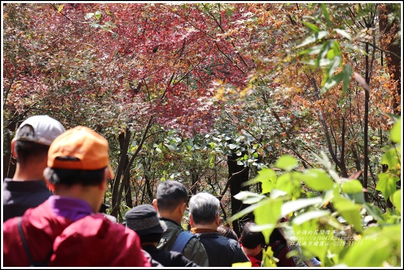 江蘇南京棲霞山-2019-11-66.jpg