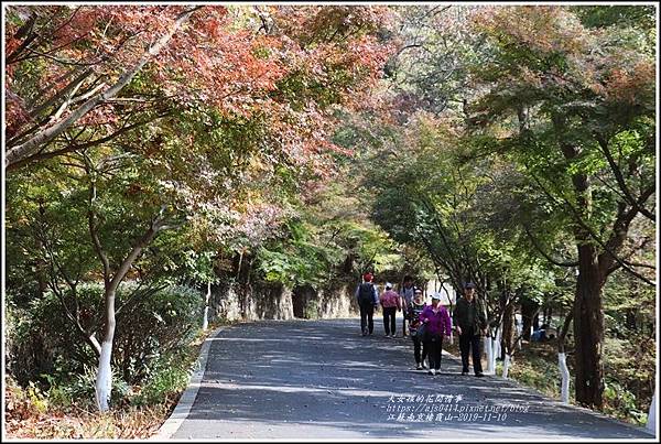 江蘇南京棲霞山-2019-11-69.jpg