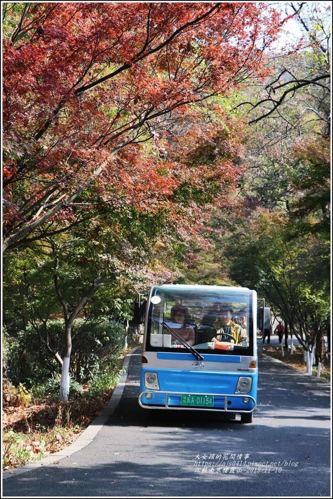 江蘇南京棲霞山-2019-11-71.jpg