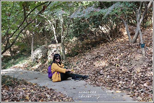 江蘇南京棲霞山-2019-11-83.jpg