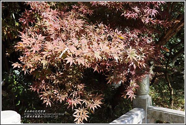 江蘇南京棲霞山-2019-11-90.jpg