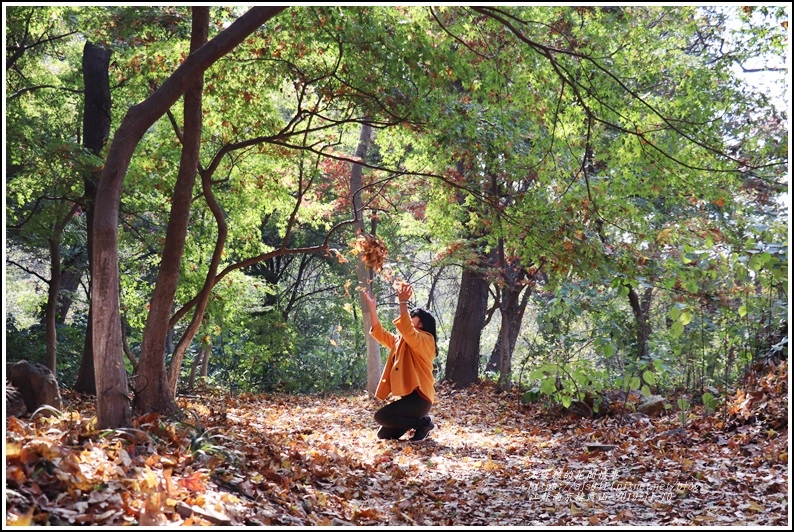 江蘇南京棲霞山-2019-11-103.jpg