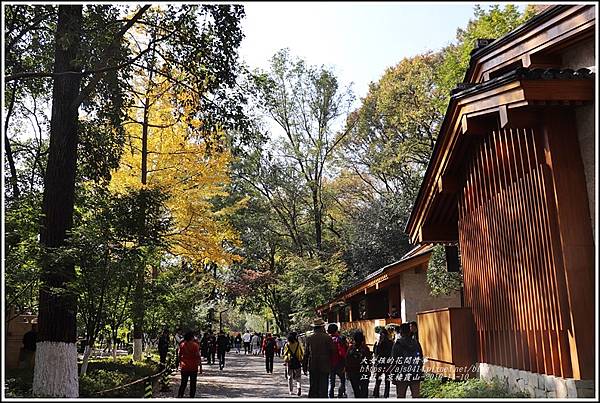 江蘇南京棲霞山-2019-11-138.jpg