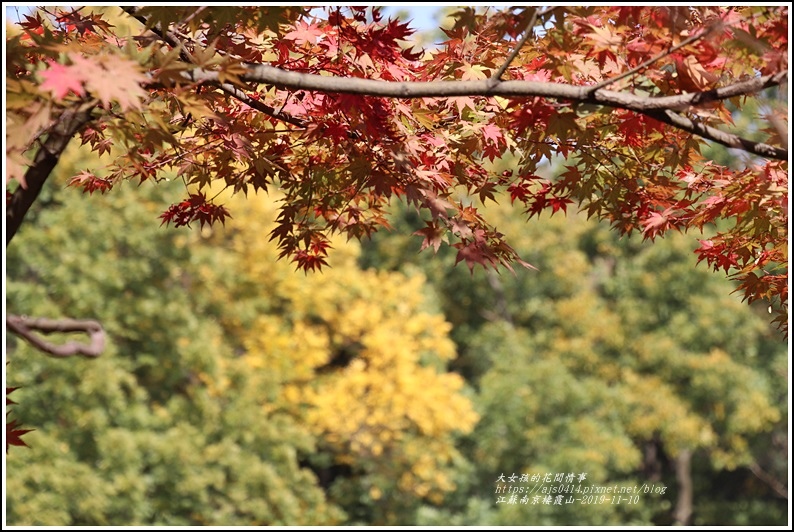 江蘇南京棲霞山-2019-11-152.jpg