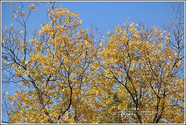 江蘇南京棲霞山-2019-11-146.jpg