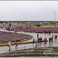 桃園花彩節梅楊場(仙草花海)-2019-11-22.jpg