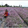 桃園花彩節梅楊場(仙草花海)-2019-11-37.jpg