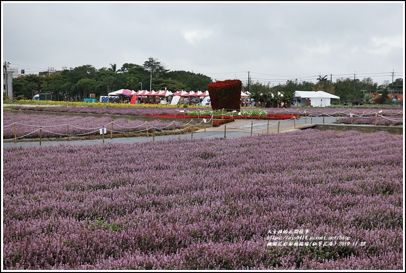 桃園花彩節梅楊場(仙草花海)-2019-11-87.jpg