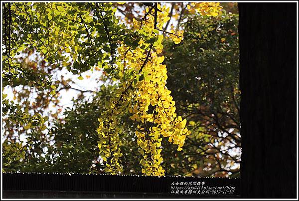 江蘇南京揚州史公祠-2019-11-13.jpg