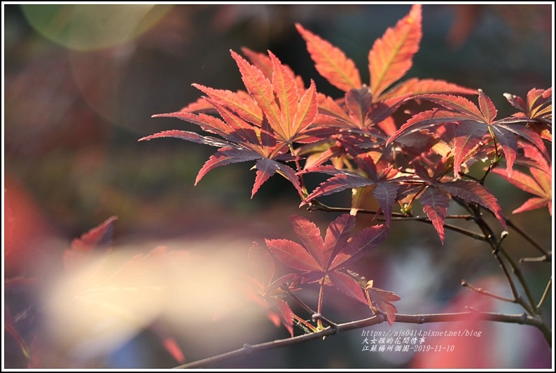 江蘇南京揚州個園-2019-11-69.jpg