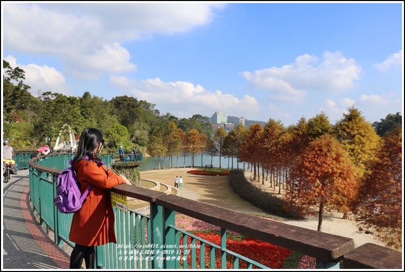 日月潭,向山水濱婚紗廣場,落羽松,向山遊客中心,同心橋,自行車道,湖光山色,南投,魚池鄉,向山,水濱婚紗廣場,小百岳