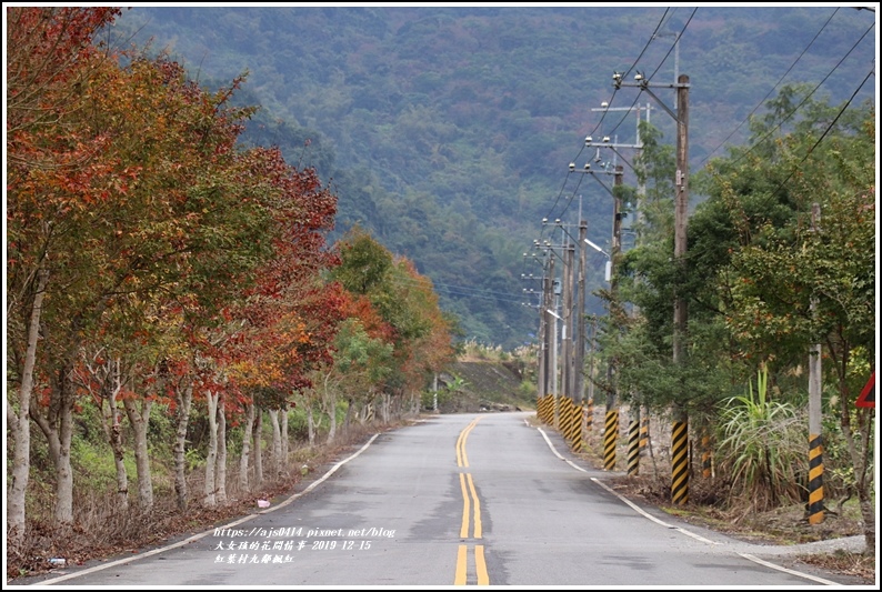 紅葉九鄰楓紅-2019-12-12.jpg