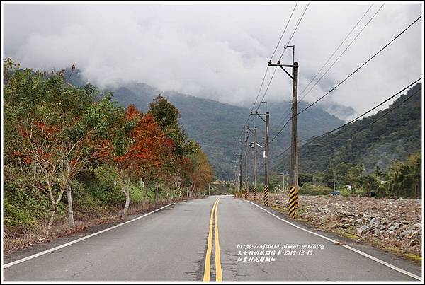 紅葉九鄰楓紅-2019-12-15.jpg