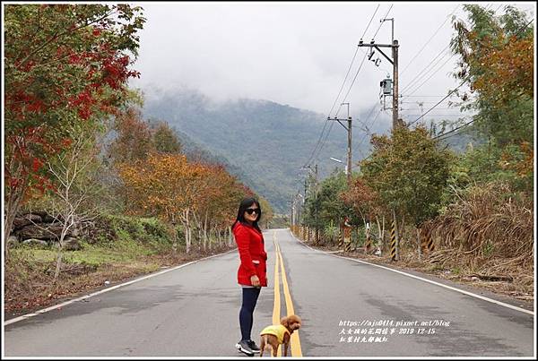 紅葉九鄰楓紅-2019-12-19.jpg