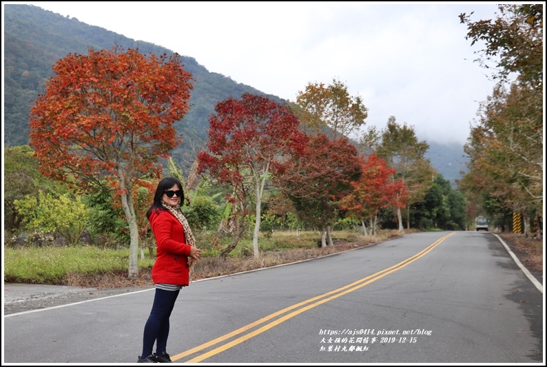 紅葉九鄰楓紅-2019-12-25.jpg 紅葉九鄰楓紅-2019-12-25.jpg