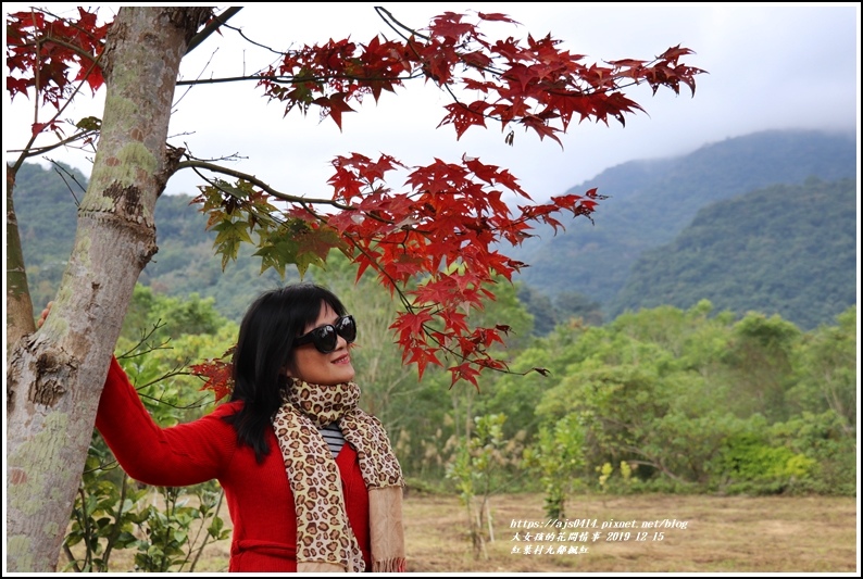紅葉九鄰楓紅-2019-12-29.jpg 紅葉九鄰楓紅-2019-12-29.jpg