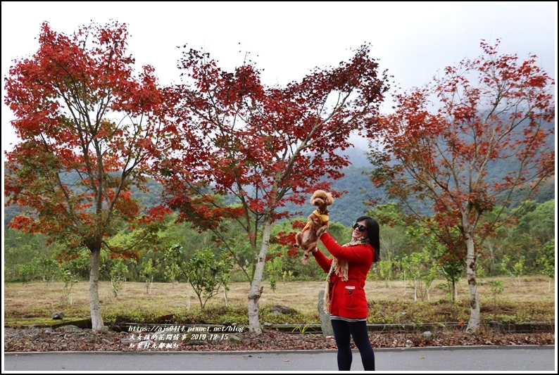 紅葉九鄰楓紅-2019-12-39.jpg