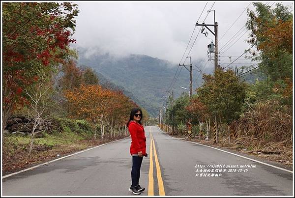 紅葉九鄰楓紅-2019-12-51.jpg