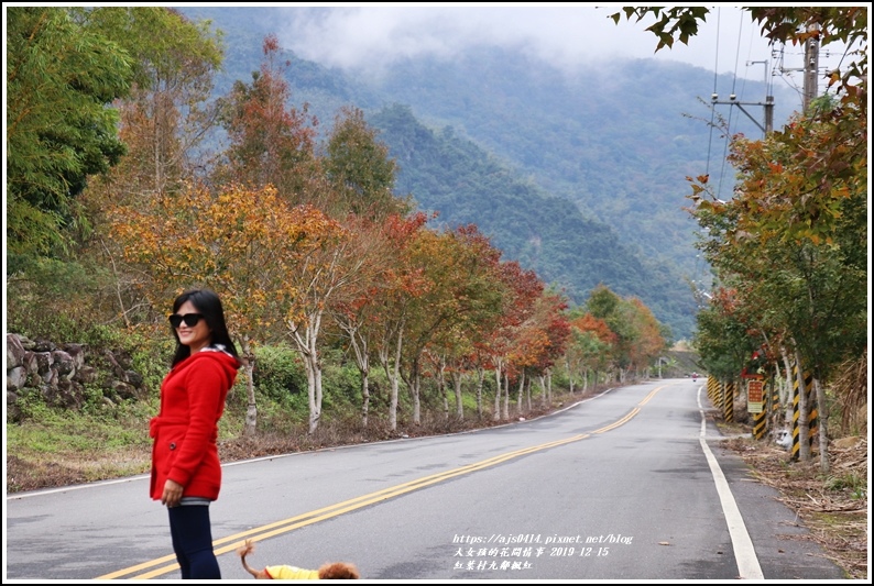 紅葉九鄰楓紅-2019-12-53.jpg 紅葉九鄰楓紅-2019-12-53.jpg