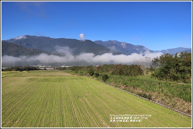 花蓮193油菜花(樂德公路)-2019-12-42.jpg