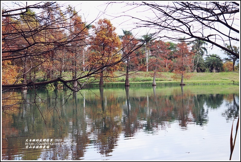 雲山水植物農場-2019-12-61.jpg