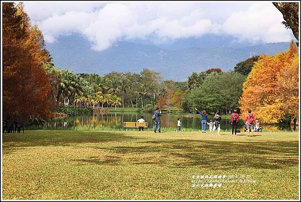 雲山水植物農場-2019-12-75.jpg