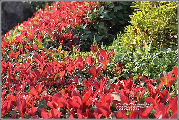 江蘇泰州梅蘭芳紀念館-2019-11-09.jpg