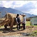 富里鄉稻草藝術節-2020-01-14.jpg